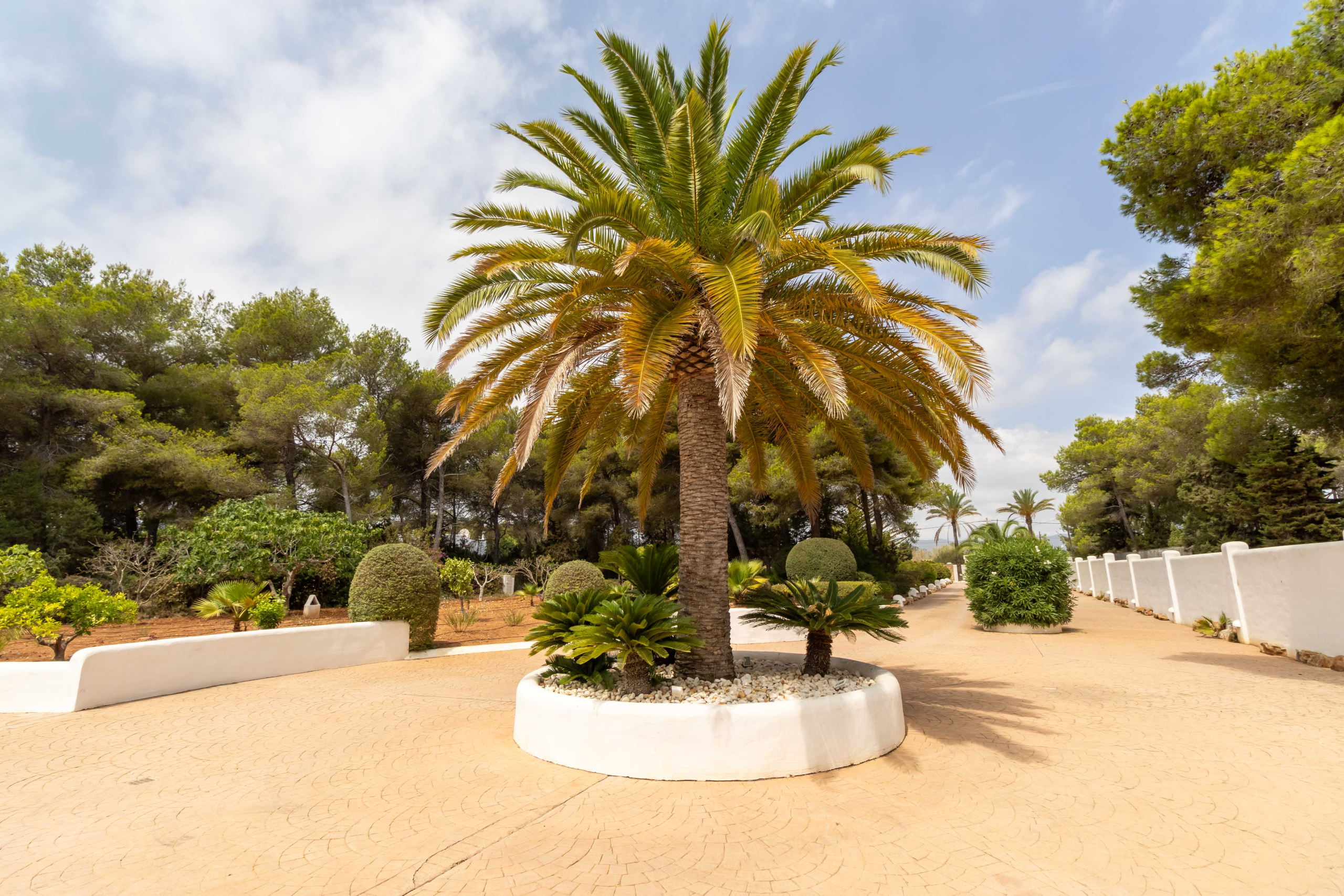 Niu Blau Villa-49